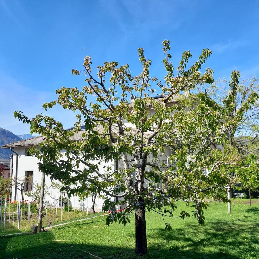 Appartment Lodged Mamma Maria Mattarello Eksteriør bilde